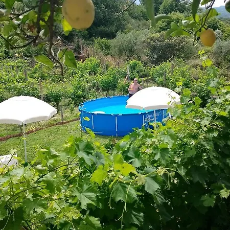 בית נופש Villa Natura