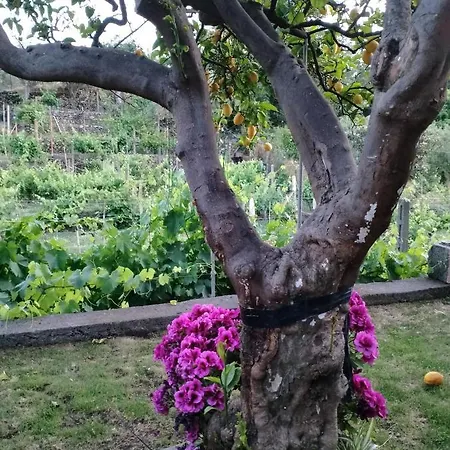 Villa Natura בית נופש