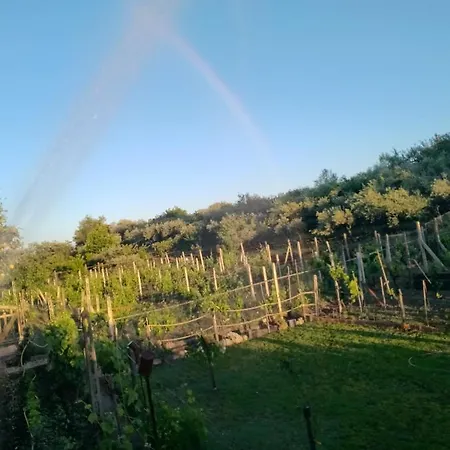 Villa Natura בית נופש