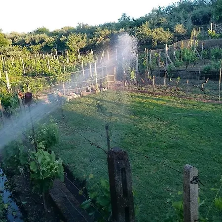 Villa Natura * Piedimonte Etneo